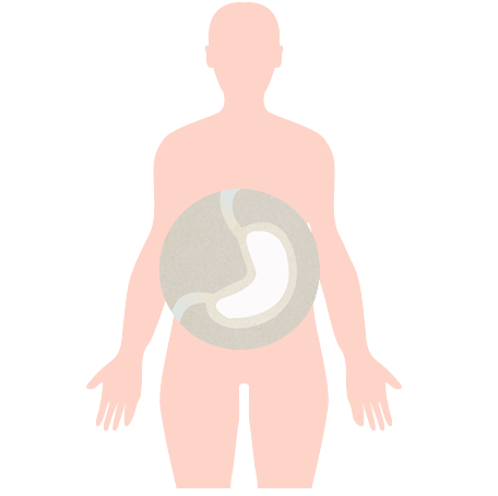 icona-stomaco-1
